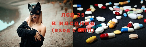 эйфоретик Баксан