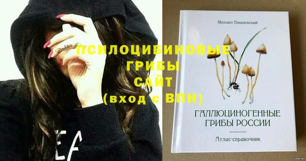 спайс Сибай